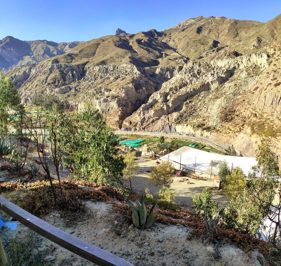 Colibrí Eco Lodge&Camping La Paz Exterior foto